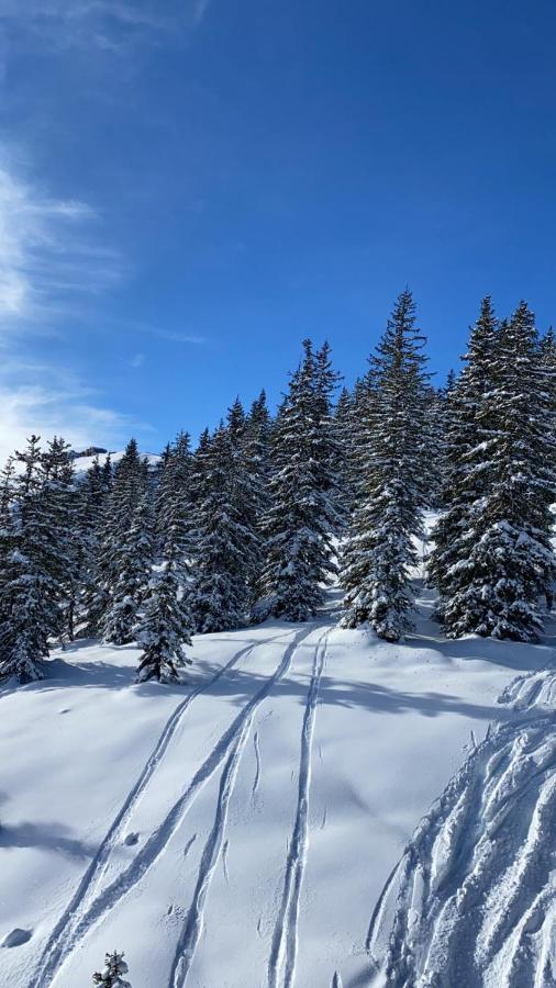 Alpinresort 1 * Kaprun