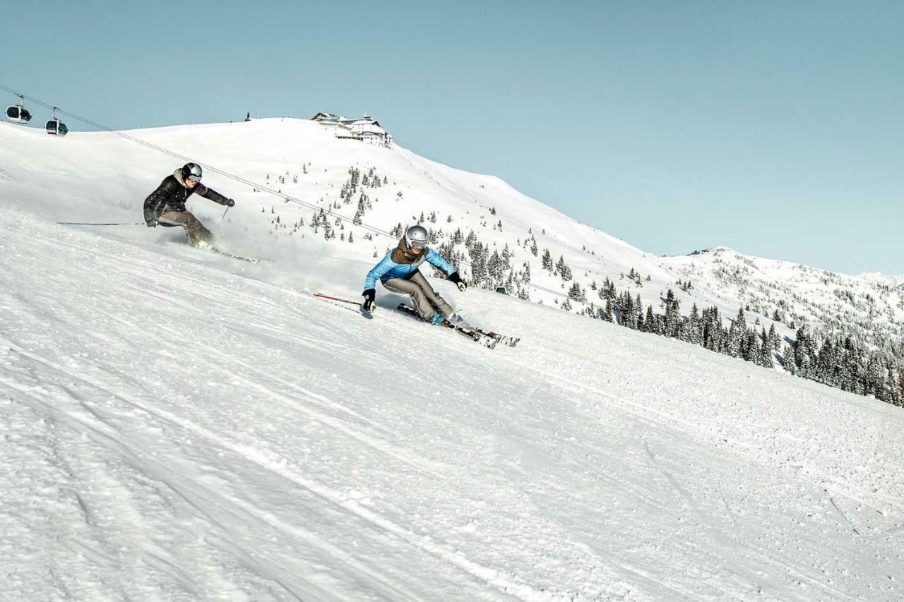 Alpinresort 1